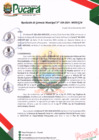 Vista preliminar de documento RESOLUCIÓN DE GERENCIA MUNICIPAL N° 108-2024-MDP/GM