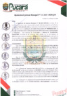 Vista preliminar de documento RESOLUCIÓN DE GERENCIA MUNICIPAL N° 113-2024-MDP/GM