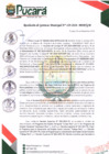 Vista preliminar de documento RESOLUCIÓN DE GERENCIA MUNICIPAL N° 129-2024-MDP/GM