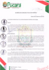 Vista preliminar de documento ACUERDO DE CONCEJO N° 025-2024-MDP/CM
