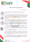 Vista preliminar de documento ACUERDO DE CONCEJO N° 033-2024-MDP/CM
