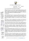 Vista preliminar de documento Resolución de Alcaldía N.° 035-2025-RASS