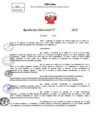 Vista preliminar de documento Resolucion Directoral N° 001204-2025