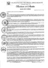 Vista preliminar de documento Nº 003-2025