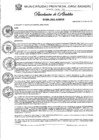Vista preliminar de documento Nº 006-2025