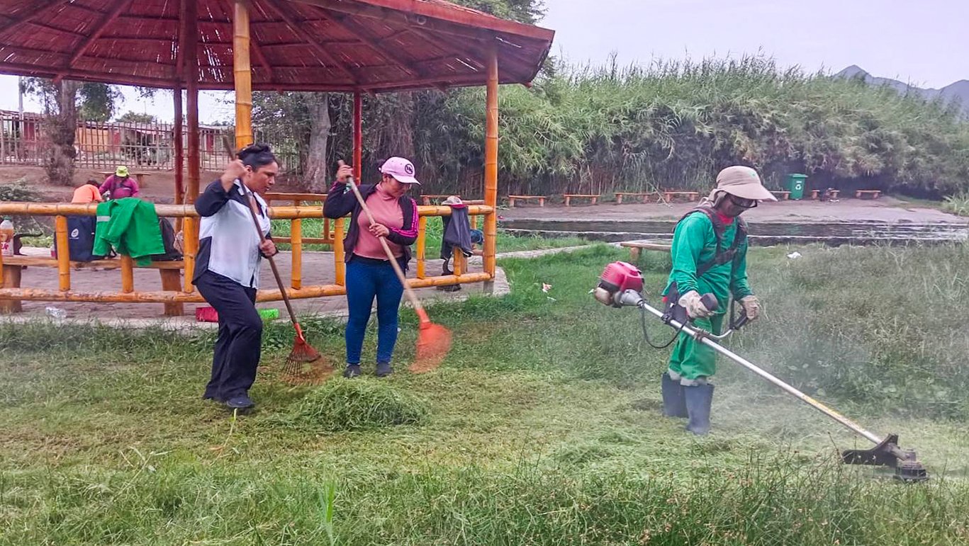 Embelleciendo nuestro distrito
