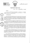 Vista preliminar de documento RD 184-2024-INO-D