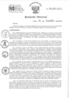 Vista preliminar de documento RD 196-2024-INO-D