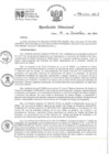 Vista preliminar de documento RD 198-2024-INO-D