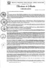 Vista preliminar de documento Nº 009-2025