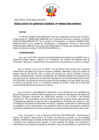 Vista preliminar de documento RESOLUCION DE GERENCIA GENERAL-000003-2025-ANIN-GG