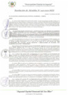 Vista preliminar de documento RA_045_2025_MDI