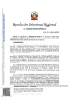 Vista preliminar de documento RDR 0299-2025-DRELM