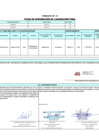 Vista preliminar de documento 00049.1. ANEXO 1 - RD N° 000049-2025-PNVR Informe de liquidación final