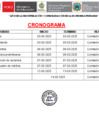 Vista preliminar de documento Cronograma