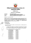 Vista preliminar de documento Resolución N° 010307482020
