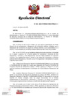 Vista preliminar de documento RD 030-2025