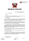 Vista preliminar de documento RD 029-2025