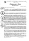 Vista preliminar de documento Nº 017-2025