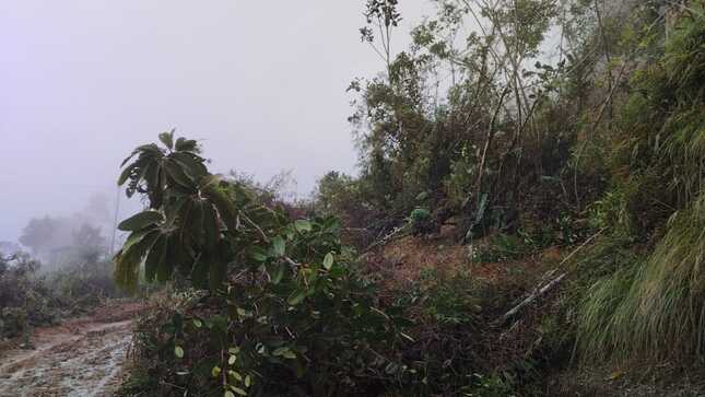 Foto del derrumbe en caserío Miraflores.