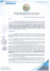 Vista preliminar de documento RESOLUCIÓN GERENCIAL N°331-2025-MPO-LL