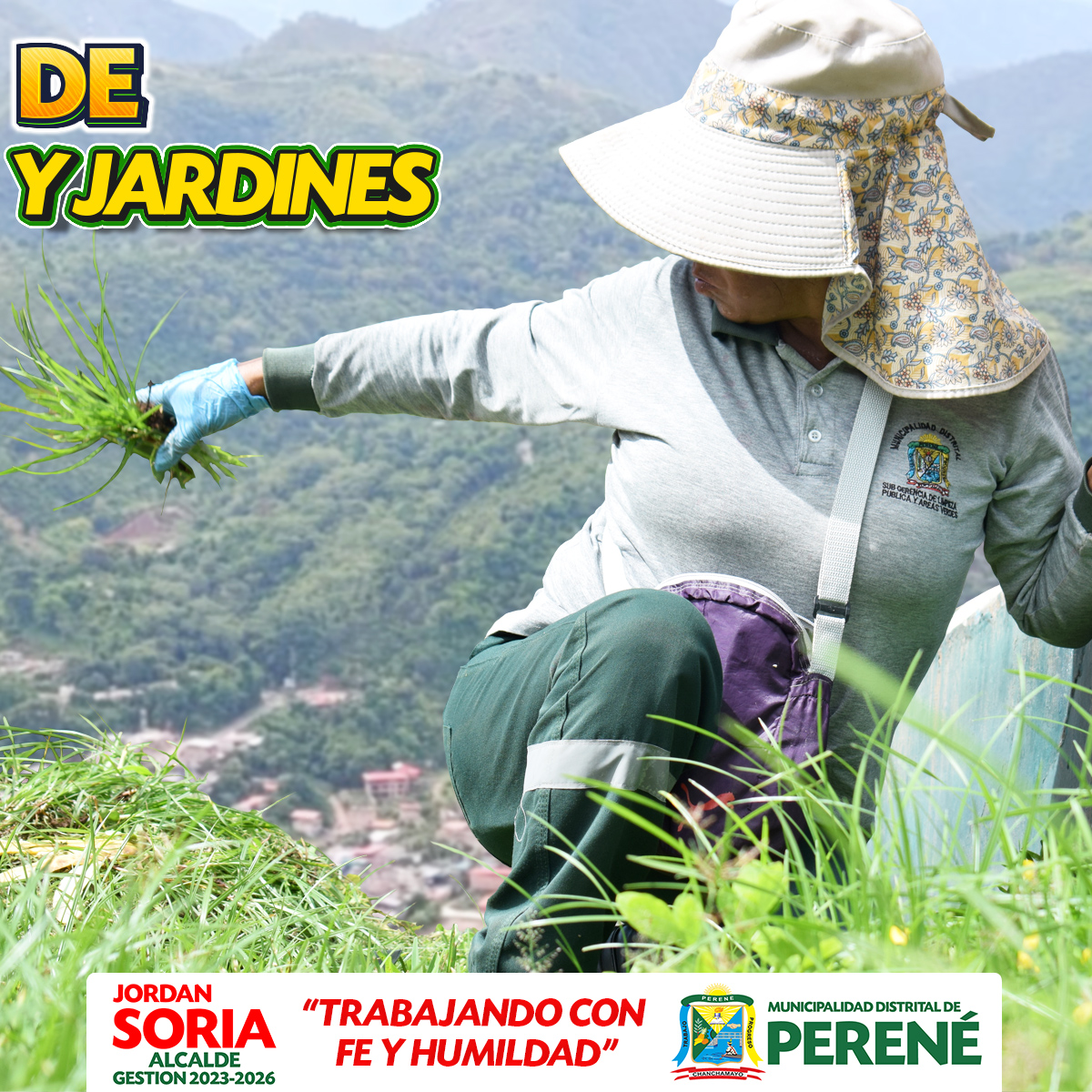 Mantenimiento de Parques y Jardines En Peren茅