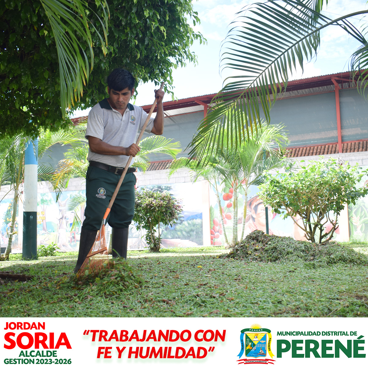Mantenimiento de Parques y Jardines En Peren茅