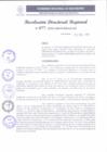 Vista preliminar de documento RDR 077-2025