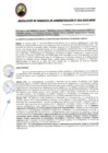 Vista preliminar de documento RGA034-2025