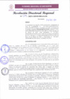 Vista preliminar de documento RDR 079-2025