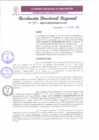 Vista preliminar de documento RDR 080-2025