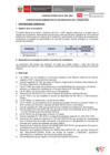 Vista preliminar de documento Bases de convocatoria