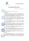 Vista preliminar de documento RD Nº 33-2025-DG-INSM HD-HN