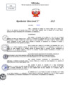 Vista preliminar de documento Resolucion Directoral N° 001299-2025