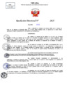 Vista preliminar de documento Resolucion Directoral N° 001302-2025