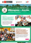 Vista preliminar de documento BoletinBosquesEnAccion_ene-feb2025
