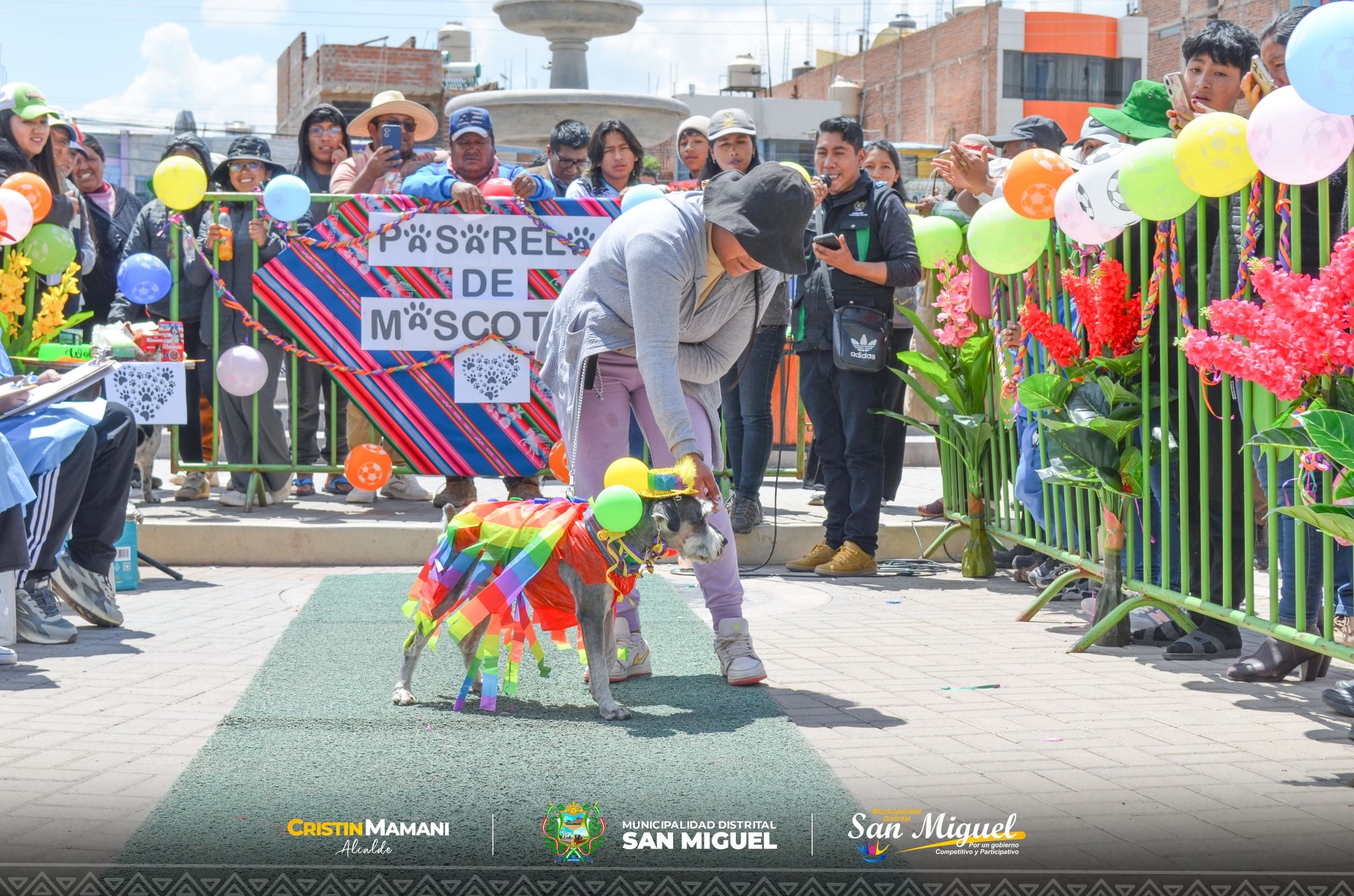 reciferia 5