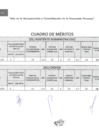 Vista preliminar de documento CUADRO DE MERITOS_PROYECTO MARISCAL CACERES (1)