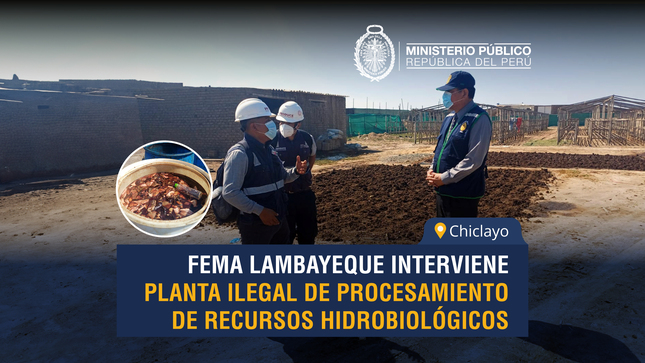 FEMA Lambayeque interviene planta ilegal de procesamiento de recursos hidrobiológicos en Chiclayo.