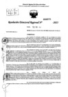 Vista preliminar de documento RDR 0076-2025