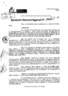 Vista preliminar de documento RDR 0077-2025