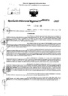 Vista preliminar de documento RDR 0078-2025