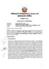 Vista preliminar de documento Resolución N° 010309252020