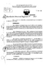 Vista preliminar de documento RDR 0080-2025