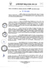 Vista preliminar de documento RGGR Nº 020-2025-GORE-ICA-GGR