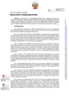Vista preliminar de documento Resolución Subsecretaría General N.° 000020-2025-DP/SSG