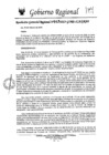 Vista preliminar de documento rgr-045-2025-gore-ica-graf