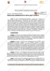 Vista preliminar de documento 101