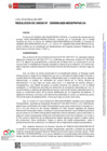 Vista preliminar de documento RU-0058-2025-MIDIS-PNPAIS-UA