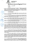 Vista preliminar de documento 052 2025